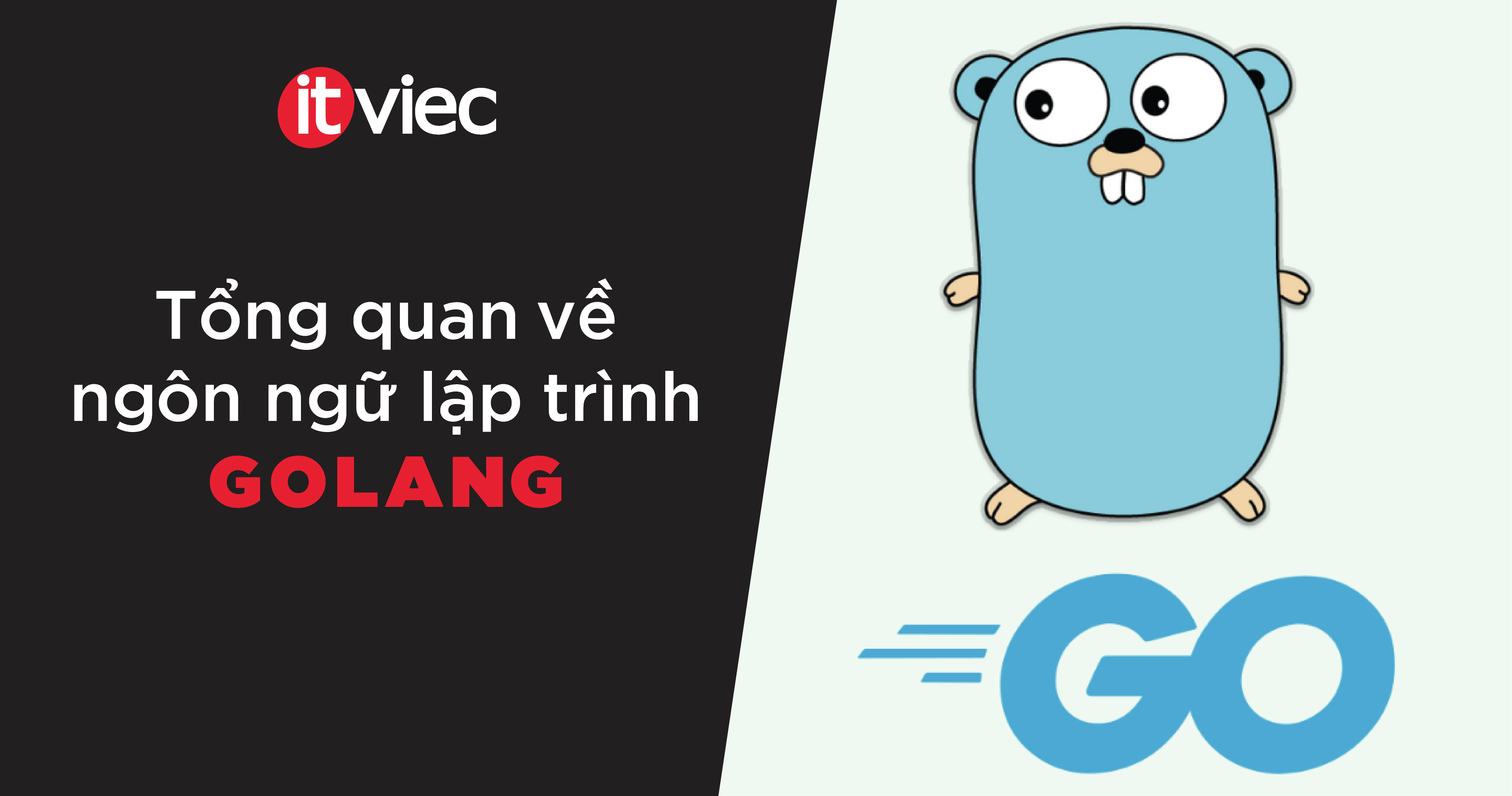 golang là gì - itviec blog